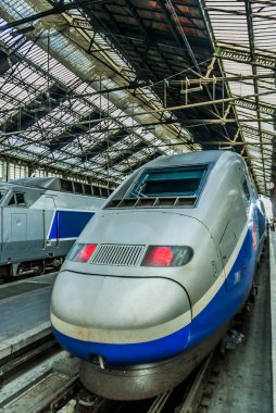 TGV Fransız yüksek hızlı tren