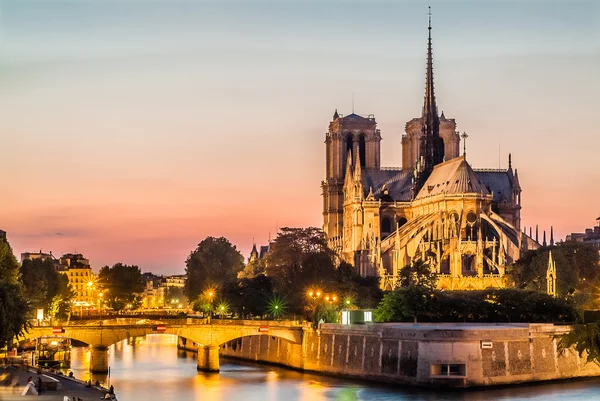 Notre dame de paris e la sciabica di notte fiume Francia — Foto Stock