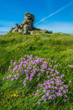 brehat Adası Fransa