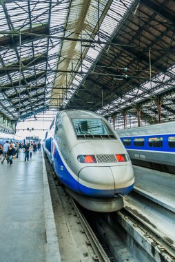 TGV Fransız yüksek hızlı tren