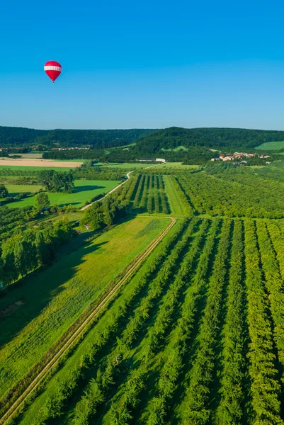 One Hot Air Balloon reunion — Stock Photo, Image