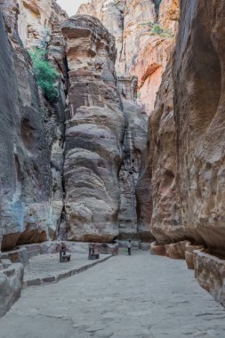 nabatean şehir Petra'dan siq yolundaki jordan