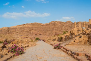 Roma nabatean şehir Petra'dan caddede jordan