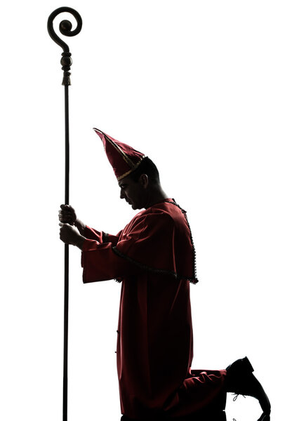 man cardinal bishop silhouette