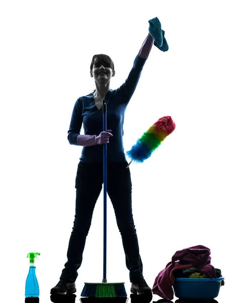 Woman maid housework cleaning products silhouette — Stock Photo, Image