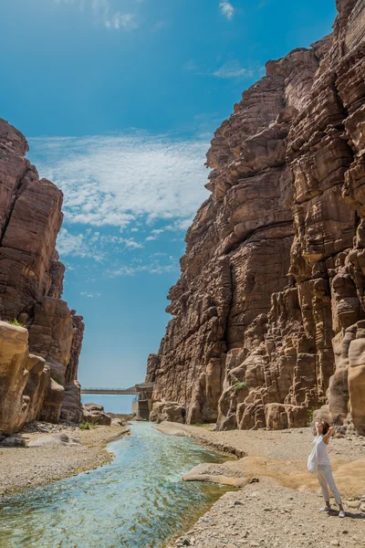 Canyon wadi mujib Jordanië — Stockfoto