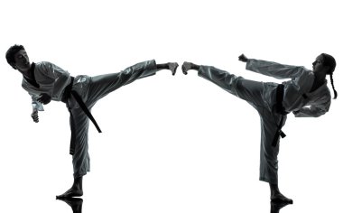 Karate taekwondo dövüş sanatları adam kadın çift siluet