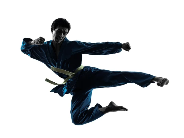 Karate vietvodao kampsport man siluett — Stockfoto