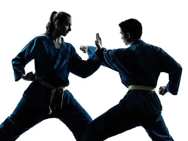 Karate vietvodao artes marciales hombre mujer pareja silueta — Foto de Stock