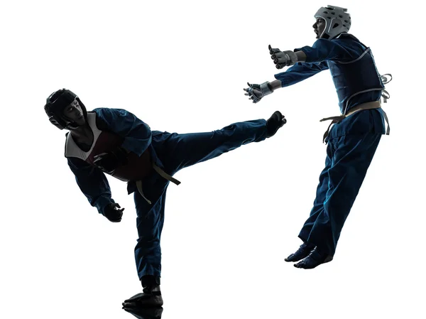 Karate vietvodao dövüş sanatları adam kadın çift siluet — Stok fotoğraf