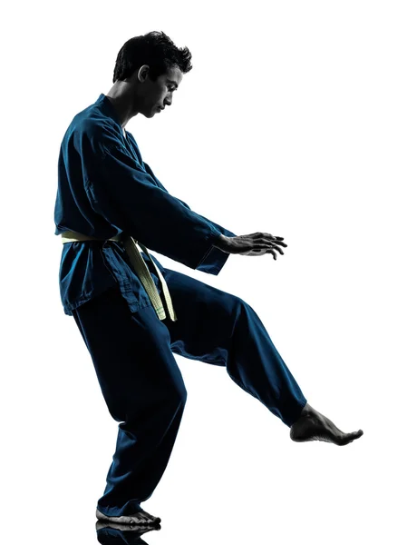 Karate vietvodao martial arts man silhouet — Stockfoto