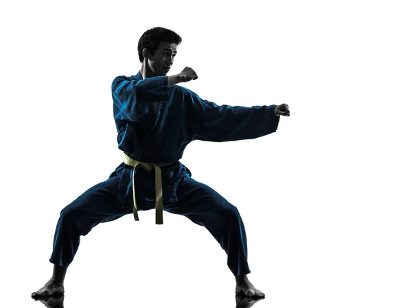 Karate vietvodao kampsport man siluett — Stockfoto