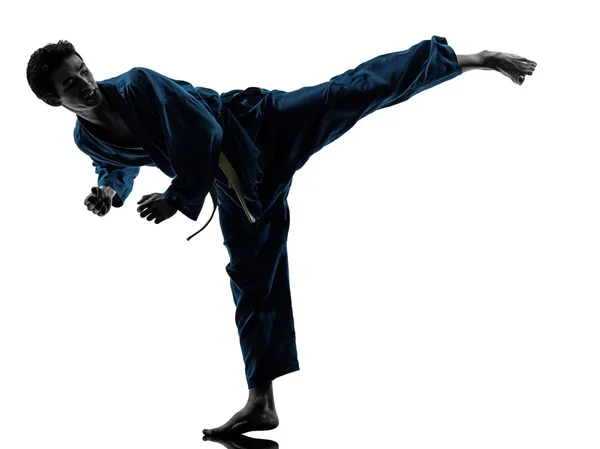 Karate vietvodao martial arts man silhouet — Stockfoto