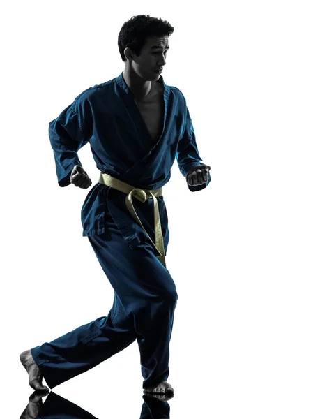 Karate vietvodao harcművészetek ember sziluettje — Stock Fotó