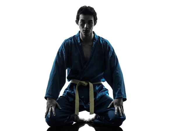 Karate vietvodao dövüş sanatları adam siluet — Stok fotoğraf