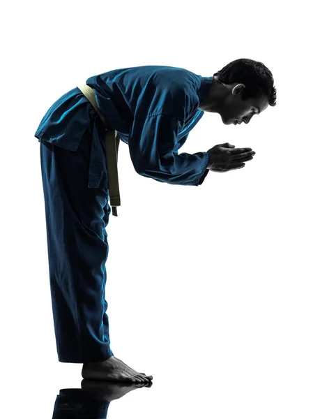 Karatê vietvodao artes marciais homem silhueta — Fotografia de Stock