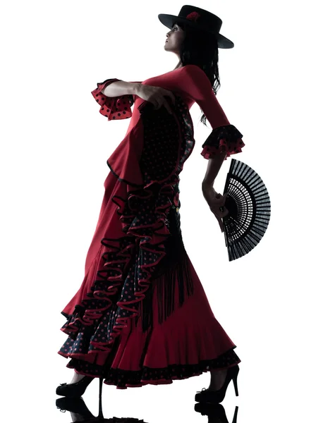 Цыганская танцовщица фламенко Стоковая Картинка