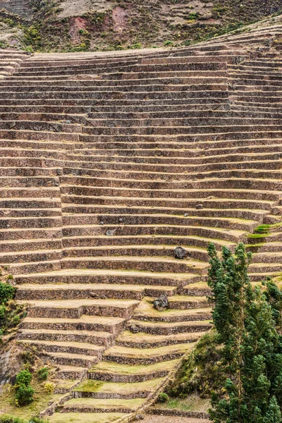 称心如意废墟秘鲁安第斯山脉库斯科秘鲁 — 图库照片