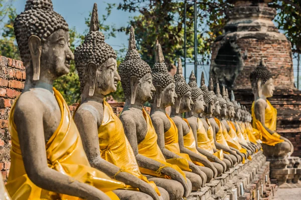 Estátuas de buddha alinhadas — Fotografia de Stock