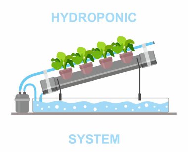 Hidrofonik Sistem. Topraksız bitki yetiştirmek. Besleyici bir ortamda. Plastik boruların yapımı 