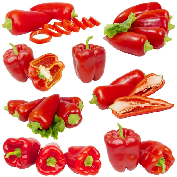 Collage aus roten Paprika — Stockfoto