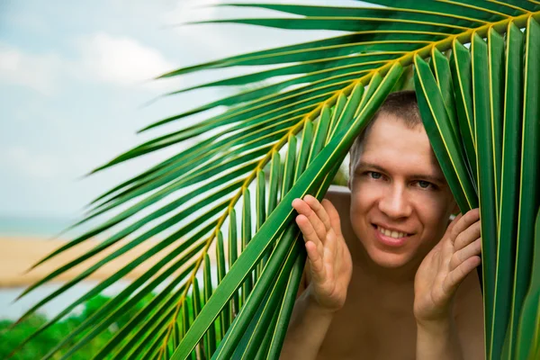 The man of palm trees — Stock Photo, Image