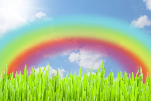 Rainbow background — Stock Photo, Image