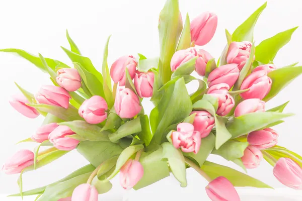 Flowers — Stock Photo, Image