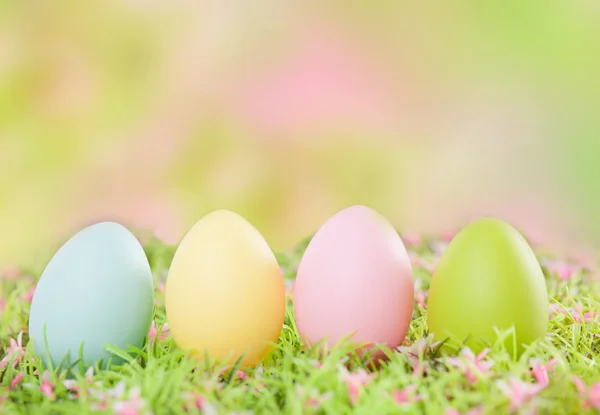 Цвет яйца — стоковое фото