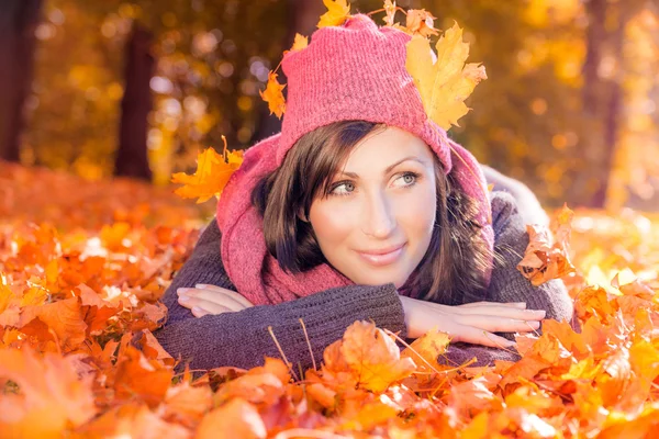 Autumn season Stock Picture