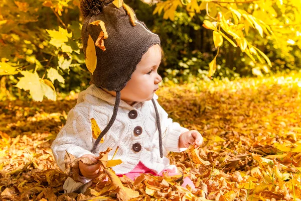 Autumn fall — Stock Photo, Image