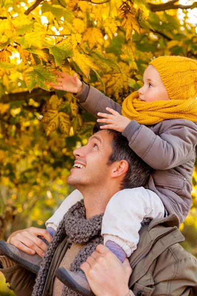 Baumfamilie — Stockfoto