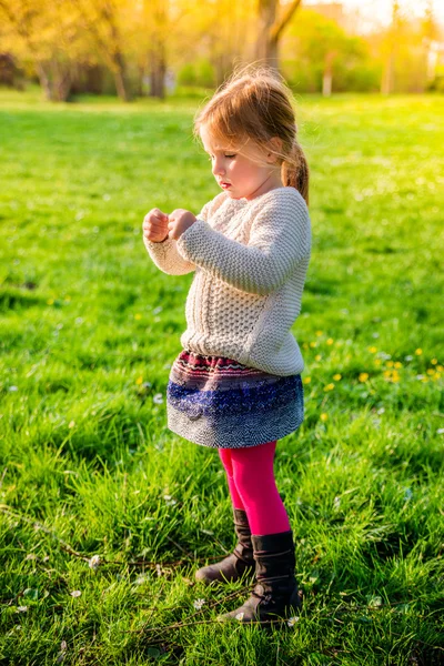 Herbstfrühling — Stockfoto