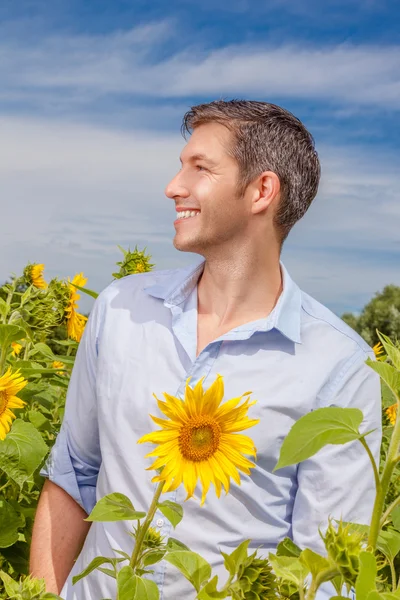 Sonnenblume — Stockfoto