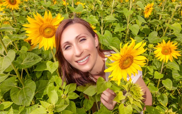 Zonnebloemen — Stockfoto