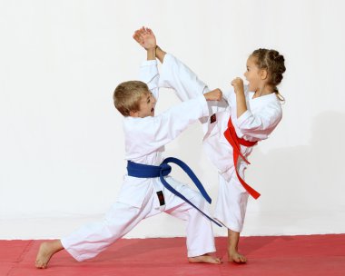 Spor karate