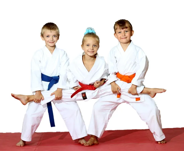 Sport karate — Stock Photo, Image