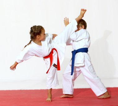 Spor karate
