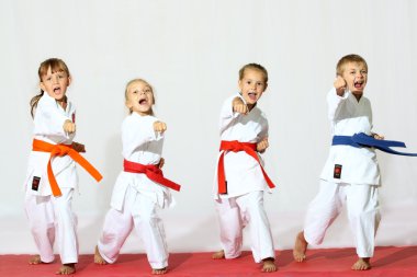 Spor karate