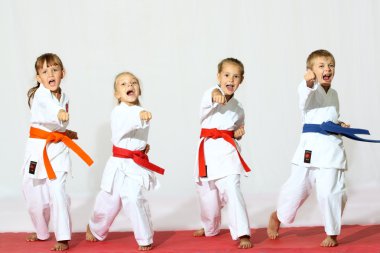 Sport karate clipart