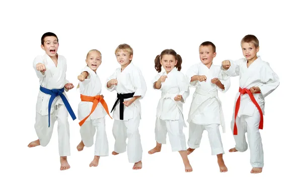 Niños pequeños en kimono realizan técnicas de karate sobre un fondo blanco — Foto de Stock