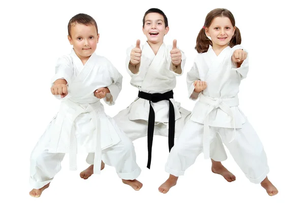 Auf weißem Hintergrund drücken kleine Kinder ihre Freude am Karate-Unterricht aus — Stockfoto