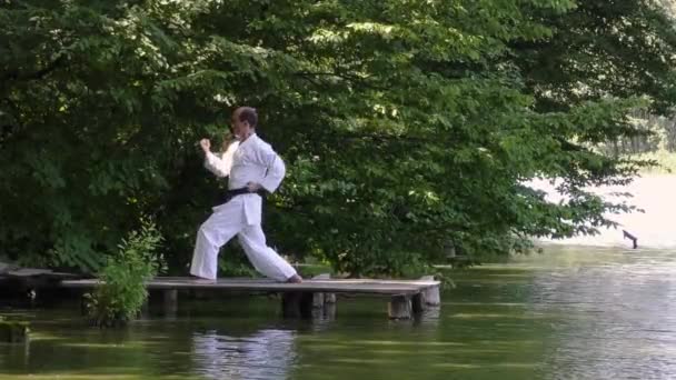 Erkek Sporcu Bir Göletin Arka Planına Karşı Köprüde Resmi Egzersizler — Stok video