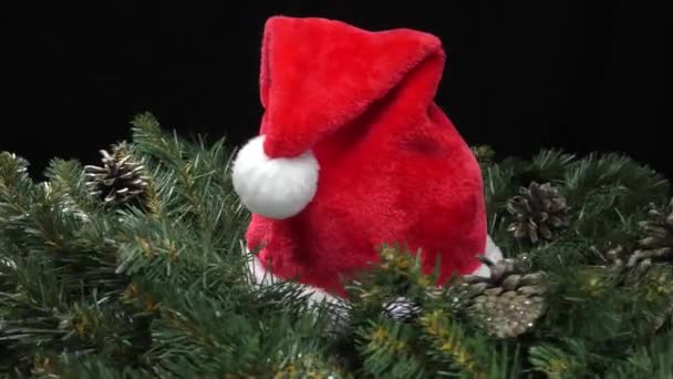 Roter Weihnachtsmann Hut Umgeben Von Grünen Tannenzweigen Und Zapfen Bewegung — Stockvideo