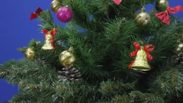 Grand Sapin Noël Vert Joliment Décoré Tourne Sur Fond Bleu — Video