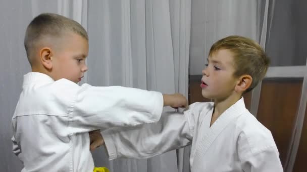 Two Little Athletes Perform Paired Punch Hand Block Exercises — 图库视频影像