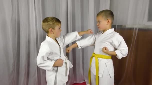 Paired Exercises Punches Blocks Hands Meet Each Other Trained Two — Stock video