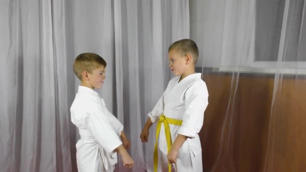 Paired Exercises Punches Blocks Hands Meet Each Other Trained Two — Vídeo de Stock