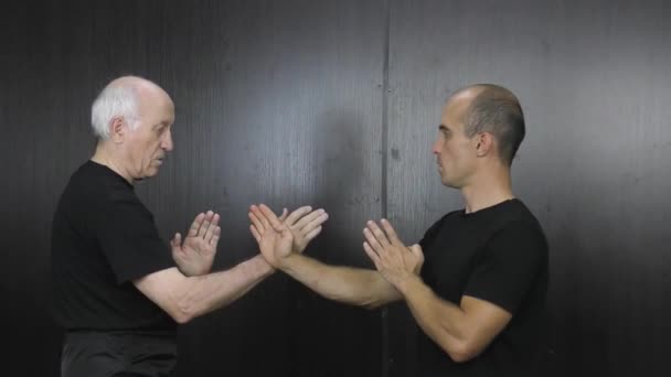 Twee Atleten Zwarte Shirts Doen Kung Wing Chun Oefeningen — Stockvideo