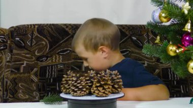 A little boy puts Christmas decorations on a spinning stand
